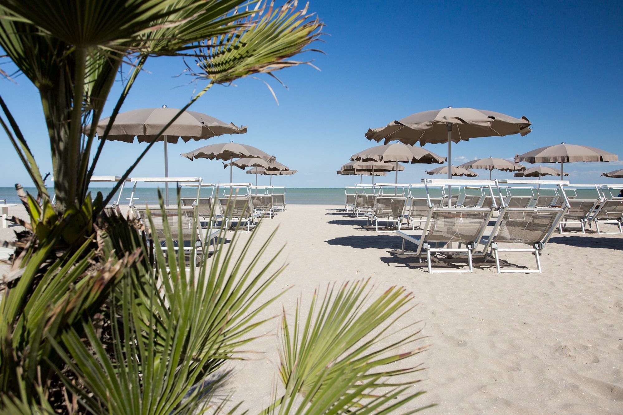 Hotel Solemare ميلانو ماريتيما المظهر الخارجي الصورة
